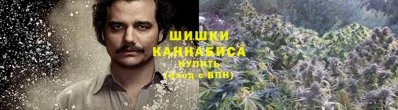 OMG рабочий сайт  Белоярский  Канабис SATIVA & INDICA 